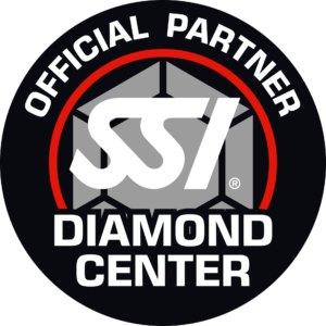 Official partner Diamond Center logo: bold white text around a black circle with a red ring and a gray diamond motif in the center.
